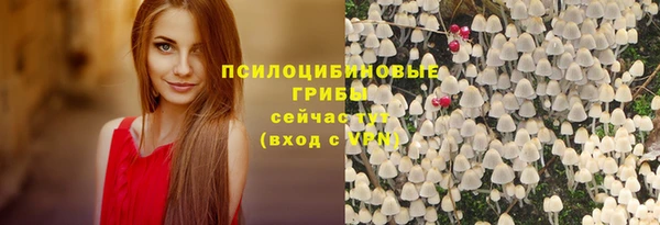 МДПВ Осташков