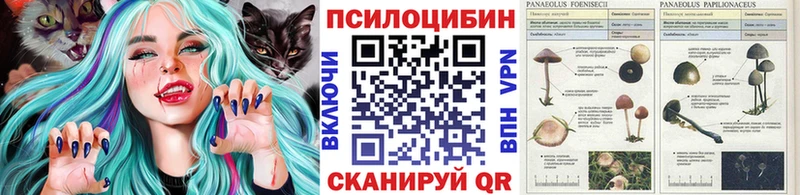 Галлюциногенные грибы прущие грибы Туринск