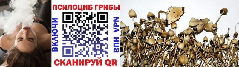 Галлюциногенные грибы Psilocybe Туринск